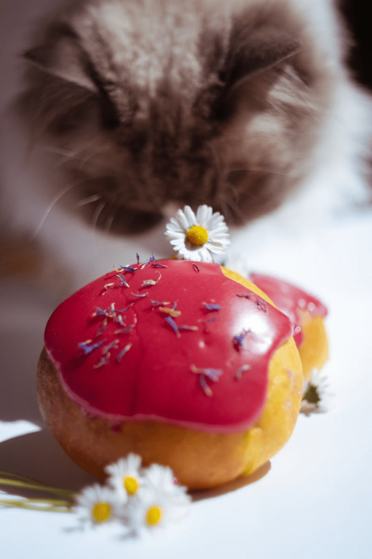 Furry cat explores delicious pink-glazed doughnuts adorned with daisy flowers.