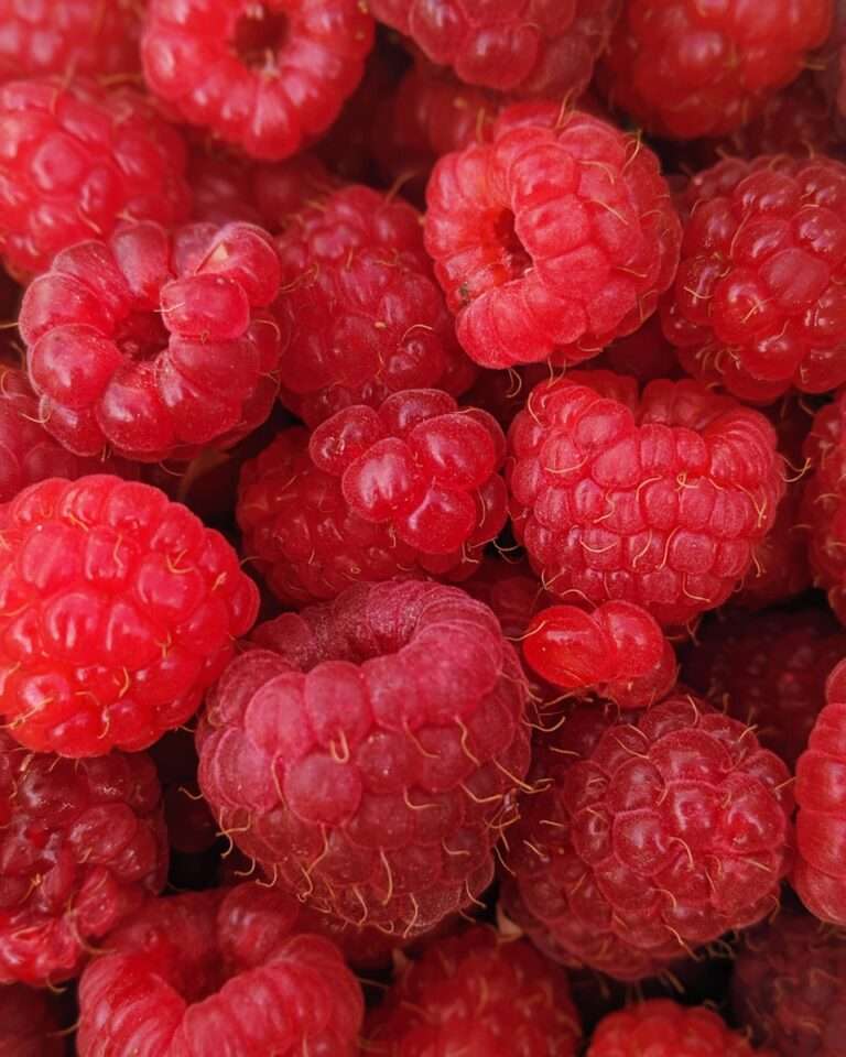 macro photography of raspberry fruits