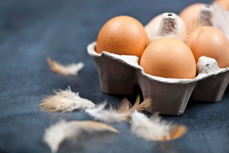 A carton filled with eggs on top of a table